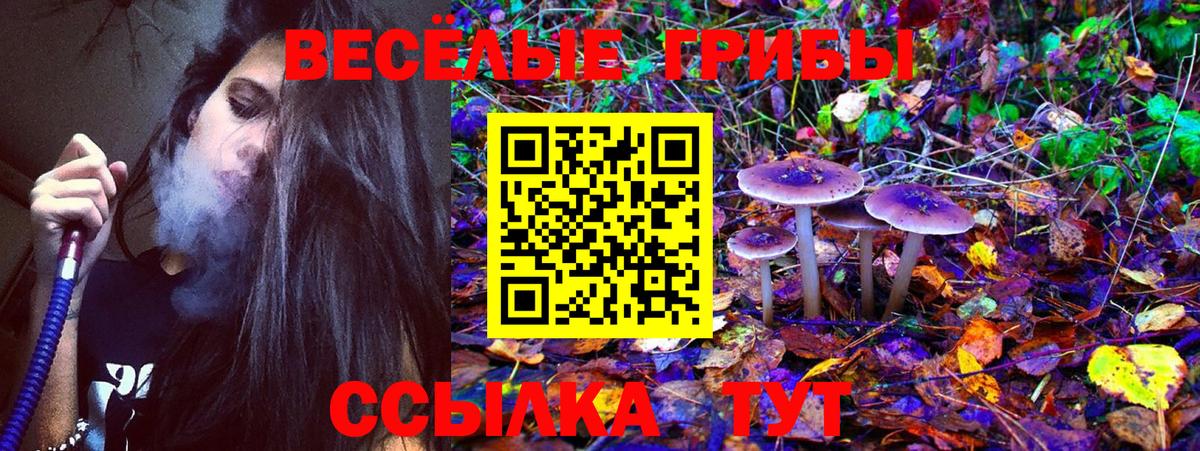 Псилоцибиновые грибы GOLDEN TEACHER Борзя